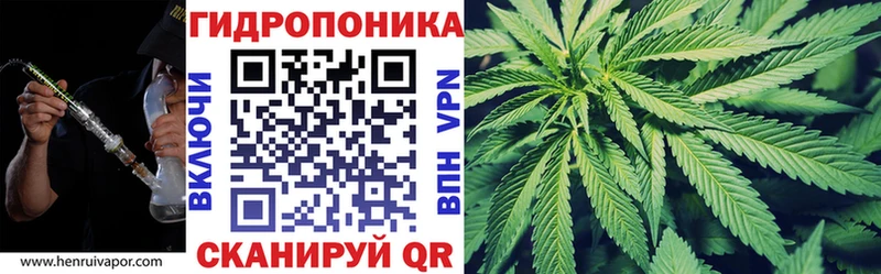 Купить закладки Вуктыл Каннабис сатива